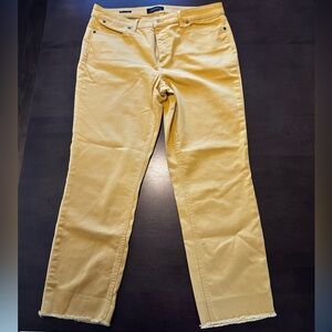 Talbots Flawless Five-Pocket Pants in Mustard Size 12